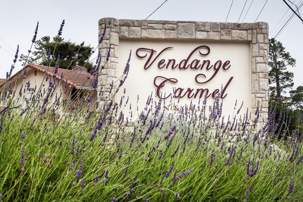 The Vendange &